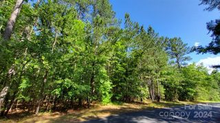 000 Loblolly Lane 22, Mill Spring, NC 28756