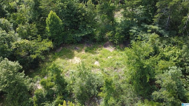 1729 VESTWOOD HILLS DRIVE, Vestavia Hills, AL 35216