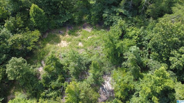 1729 VESTWOOD HILLS DRIVE, Vestavia Hills, AL 35216