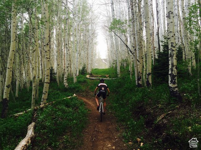 336 DALY AVE A, Park City, UT 84060