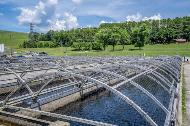 230 Turnberry Drive 1, Branson, MO 65616