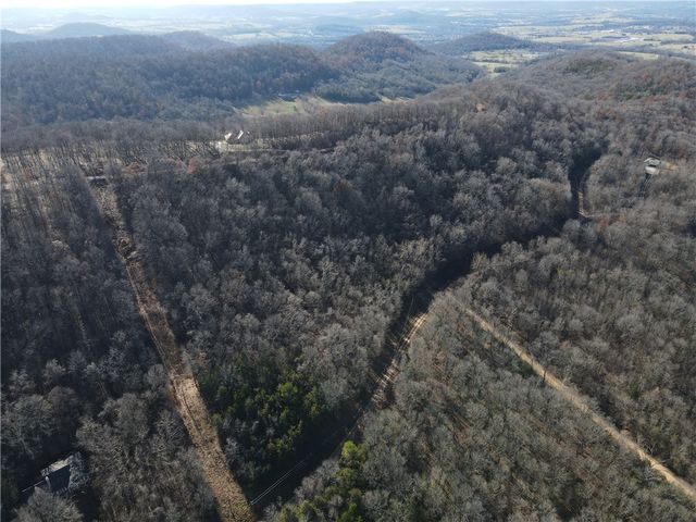 CR 6012, Berryville, AR 72616