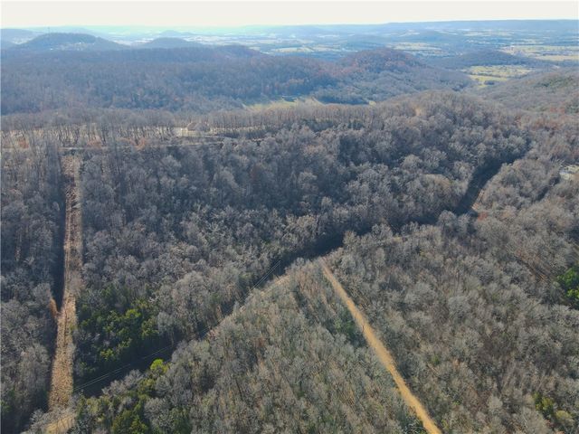 CR 6012, Berryville, AR 72616