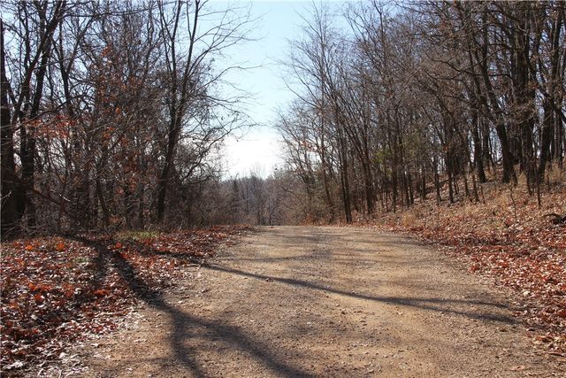 CR 6012, Berryville, AR 72616