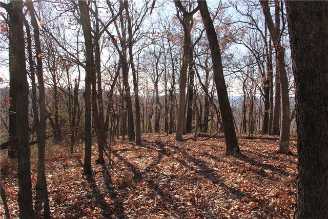 CR 6012, Berryville, AR 72616