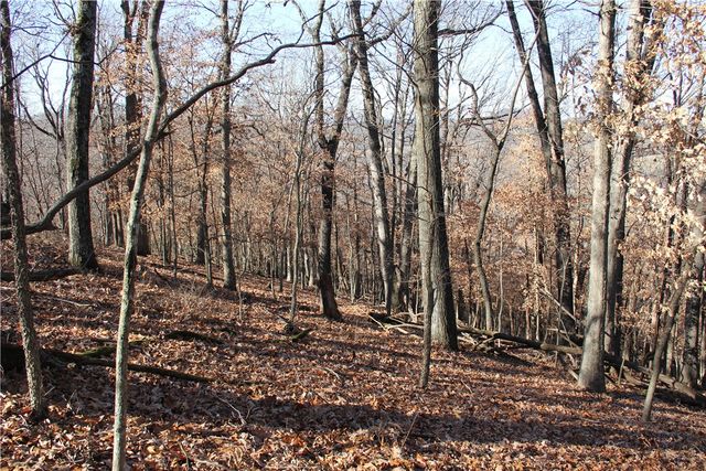 CR 6012, Berryville, AR 72616