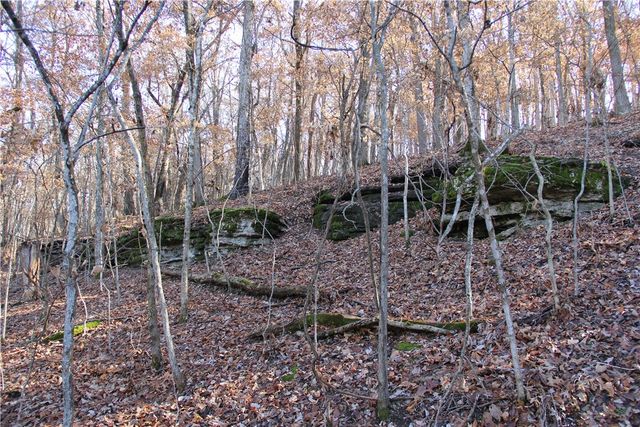 CR 6012, Berryville, AR 72616