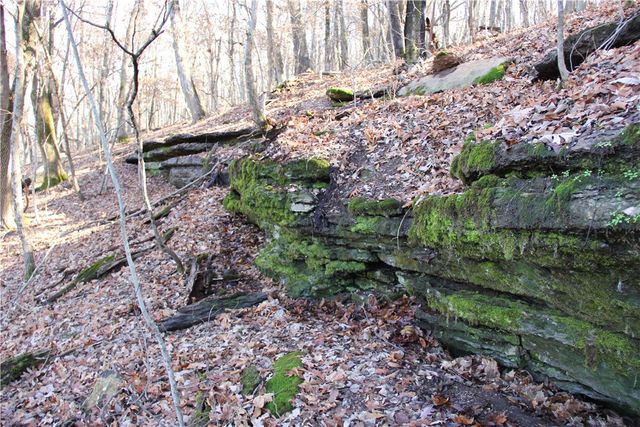 CR 6012, Berryville, AR 72616