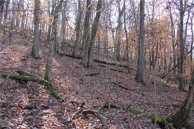 CR 6012, Berryville, AR 72616