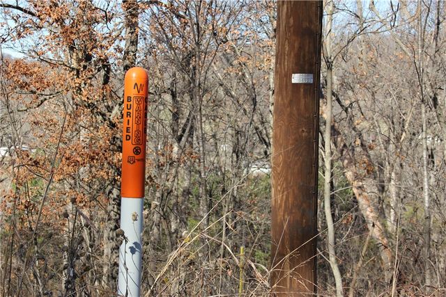 CR 6012, Berryville, AR 72616