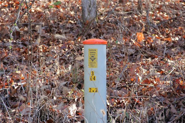 CR 6012, Berryville, AR 72616