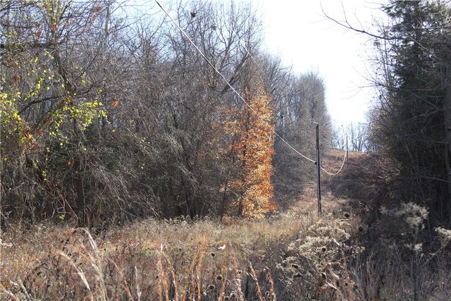 CR 6012, Berryville, AR 72616