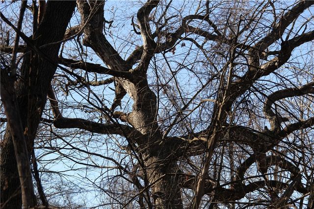 CR 6012, Berryville, AR 72616