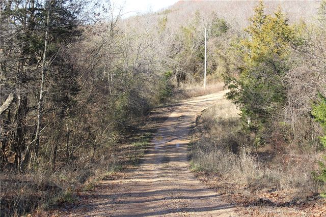 CR 6012, Berryville, AR 72616