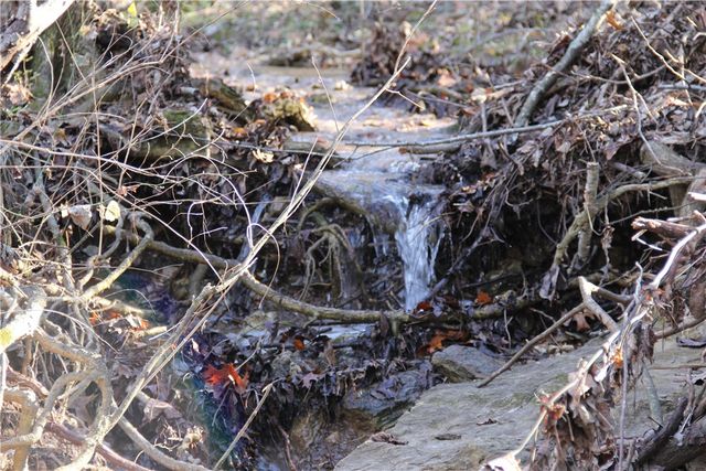 CR 6012, Berryville, AR 72616