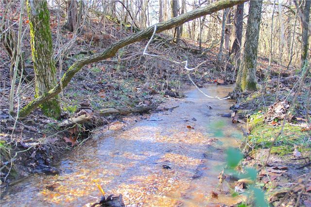 CR 6012, Berryville, AR 72616