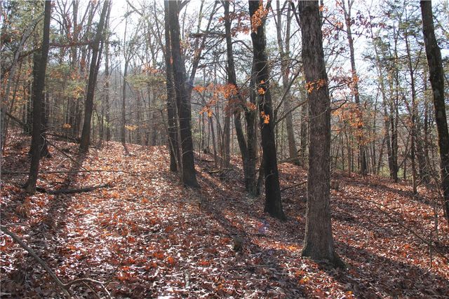 CR 6012, Berryville, AR 72616