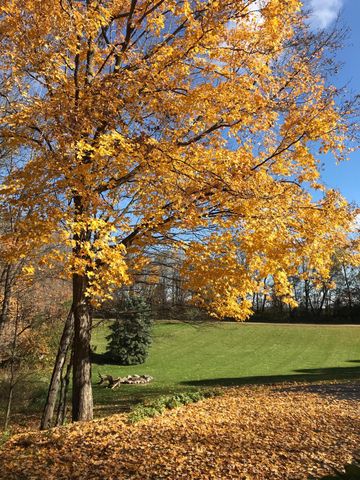 11990 Creekridge Lane, Chaska, MN 55318