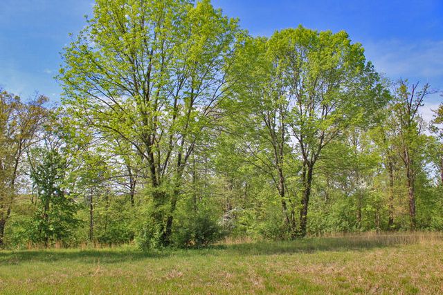 130 Lake Crest Drive, Somerset, KY 42503