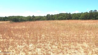 612a Hugh White State Park Road, Grenada, MS 38901