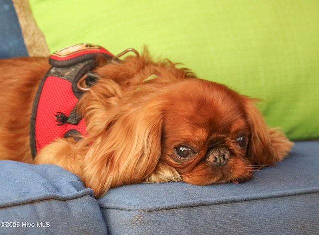 5108 Chanticleer Court, Wilmington, NC 28409