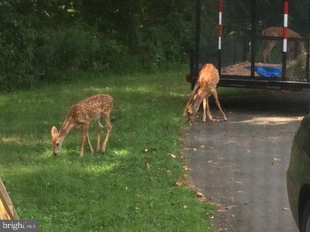 22247 WATSON RD, Leesburg, VA 20175