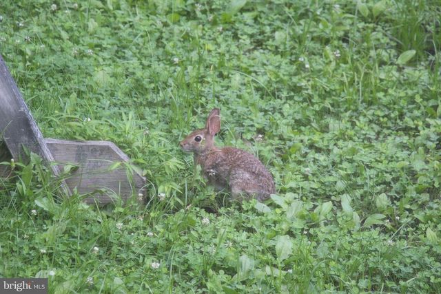 22247 WATSON RD, Leesburg, VA 20175