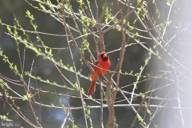 22247 WATSON RD, Leesburg, VA 20175