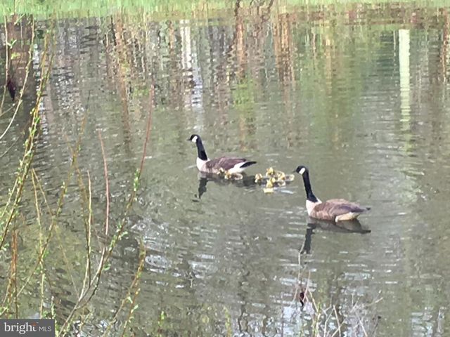 22247 WATSON RD, Leesburg, VA 20175