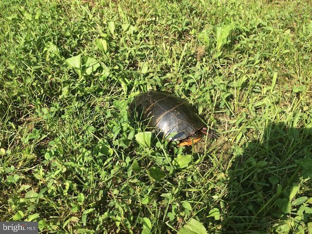 22247 WATSON RD, Leesburg, VA 20175