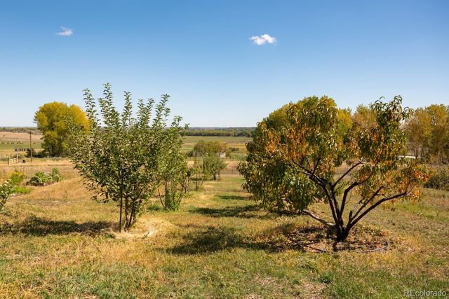 5952 Oxford Road, Niwot, CO 80503