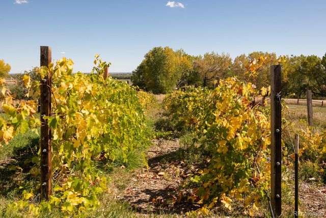 5952 Oxford Road, Niwot, CO 80503