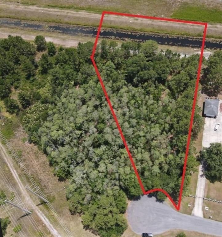 NUTMEG STREET, Orlando, FL 32833