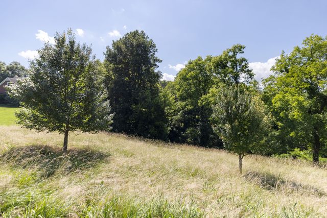 1202 Valarie Ln, Columbia, TN 38401