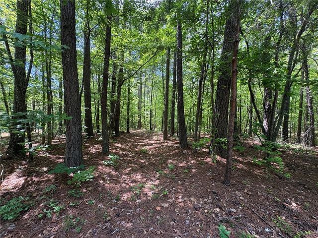 1933 Highway 101 N, Dallas, GA 30157