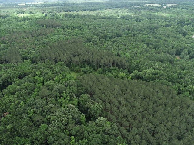 TBD County Road 3180, Winnsboro, TX 75494