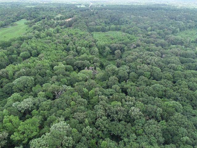 TBD County Road 3180, Winnsboro, TX 75494