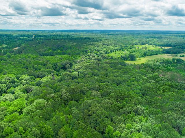 TBD County Road 3180, Winnsboro, TX 75494
