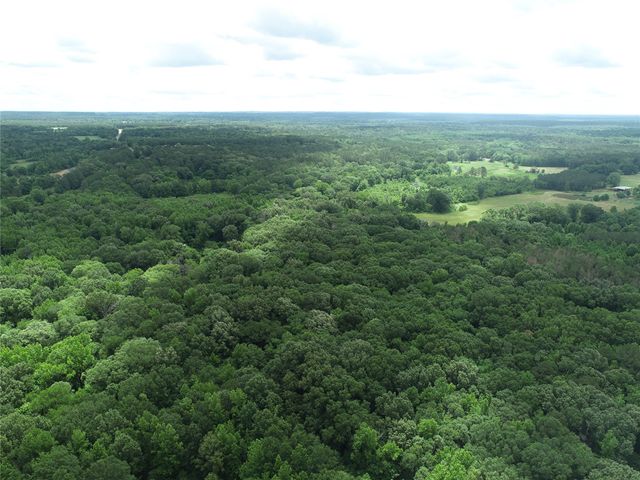 TBD County Road 3180, Winnsboro, TX 75494