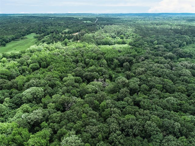 TBD County Road 3180, Winnsboro, TX 75494
