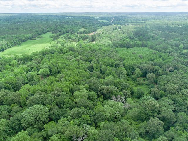 TBD County Road 3180, Winnsboro, TX 75494