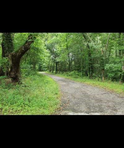 TBD County Road 3180, Winnsboro, TX 75494