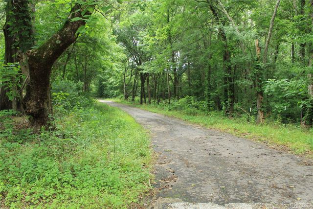 TBD County Road 3180, Winnsboro, TX 75494