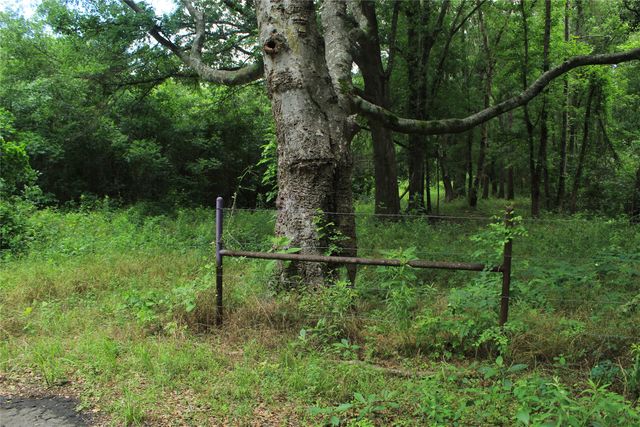 TBD County Road 3180, Winnsboro, TX 75494