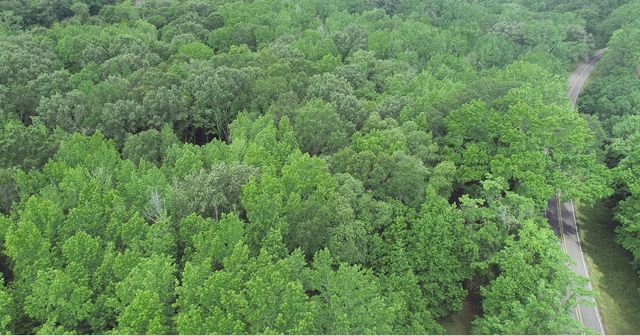 TBD County Road 3180, Winnsboro, TX 75494