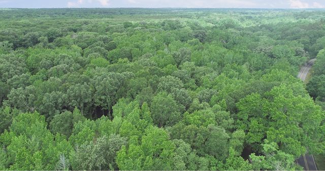 TBD County Road 3180, Winnsboro, TX 75494