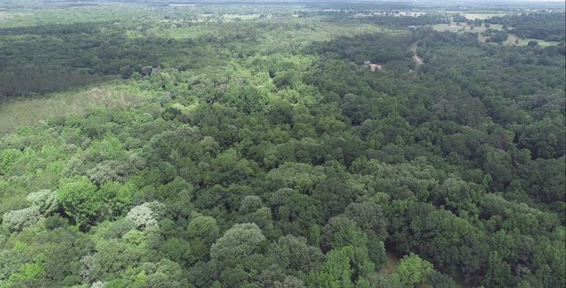 TBD County Road 3180, Winnsboro, TX 75494
