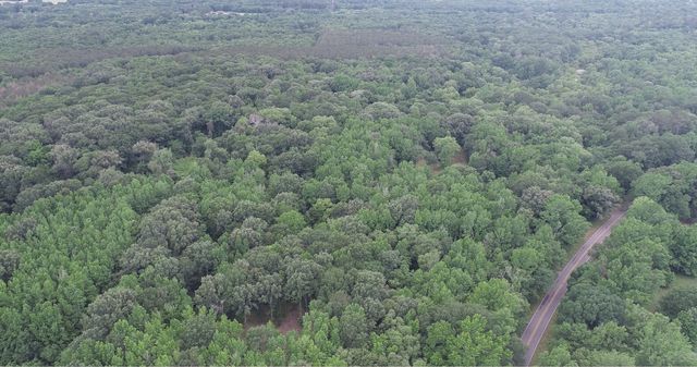 TBD County Road 3180, Winnsboro, TX 75494