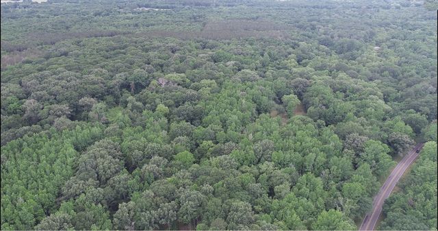 TBD County Road 3180, Winnsboro, TX 75494