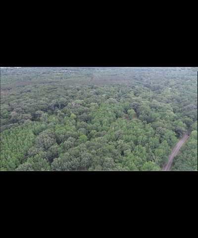 TBD County Road 3180, Winnsboro, TX 75494